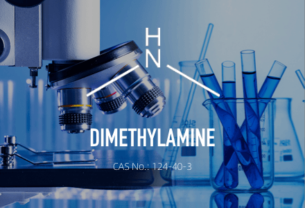 Dimethylamin/CAS 124-40-3