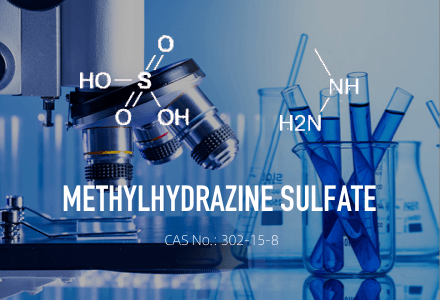 Methylhydrazinsulfat CAS 302-15-8
