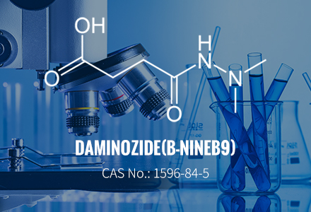 Daminozid (B-Nine/B9) CAS 1596-84-5